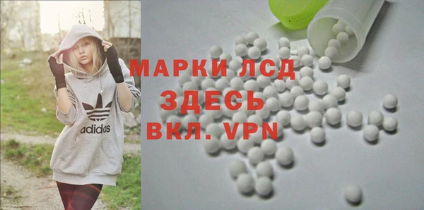 ПСИЛОЦИБИНОВЫЕ ГРИБЫ Лихославль