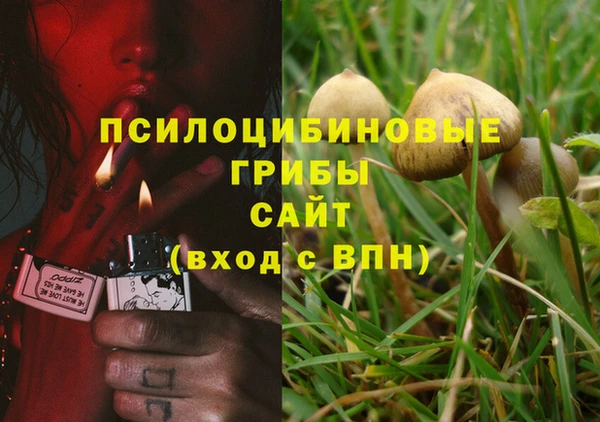 прущая мука Липки
