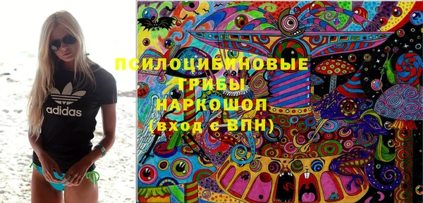 ПСИЛОЦИБИНОВЫЕ ГРИБЫ Лихославль