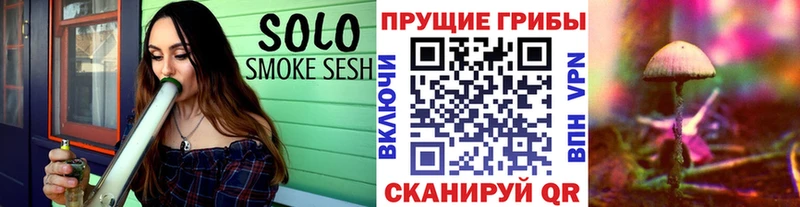Псилоцибиновые грибы Psilocybe  МЕГА ссылка  Спас-Клепики 